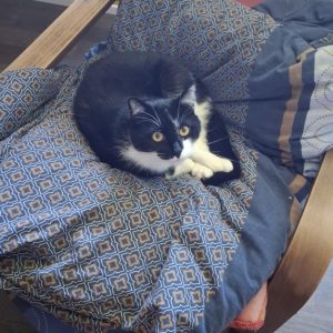 Gribouille et Charlie