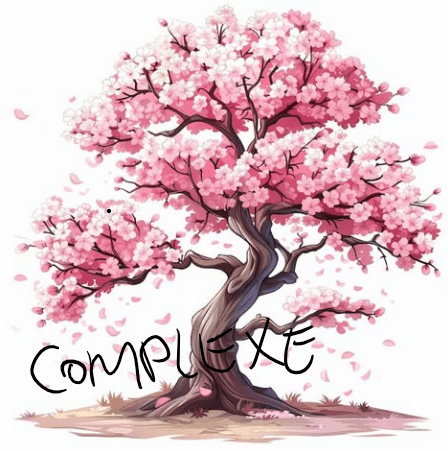 Choix cerisier en fleurs – Image 4